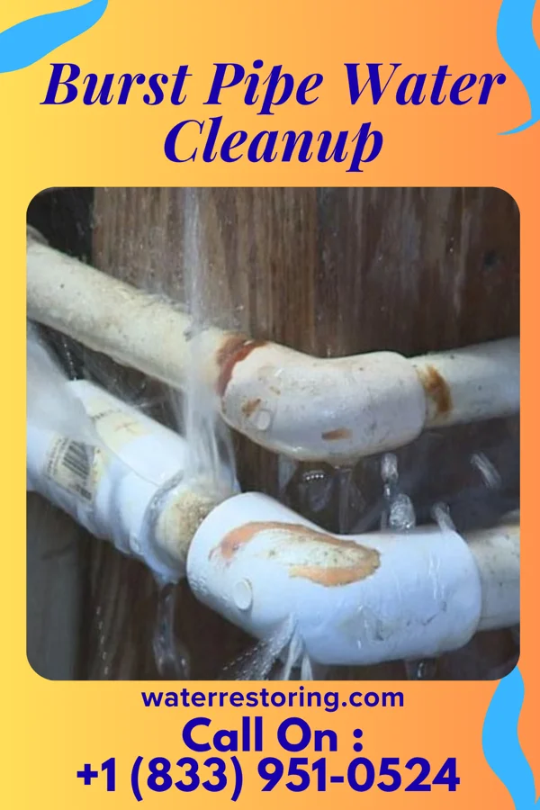 Burst Pipe Water Cleanup in Wainiha, HI