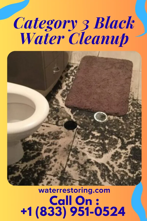 Category 3 Black Water Cleanup in Wainiha, HI