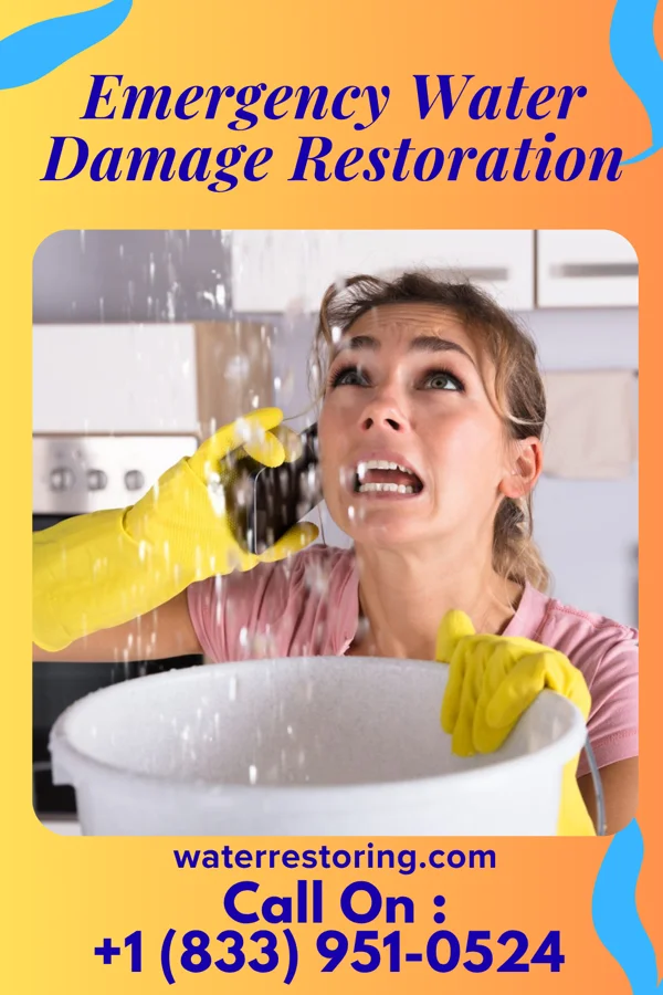 Emergency Water Damage Restoration in Wainiha, HI