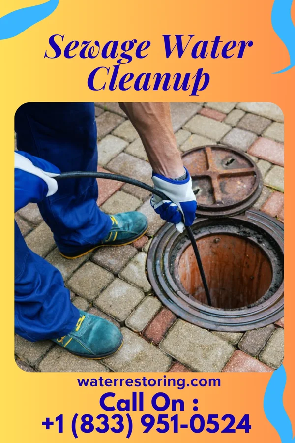 Sewage Water Cleanup in Wainiha, HI