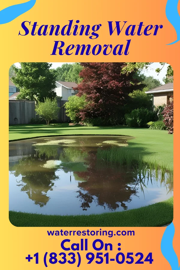 Standing Water Removal in Wainiha, HI